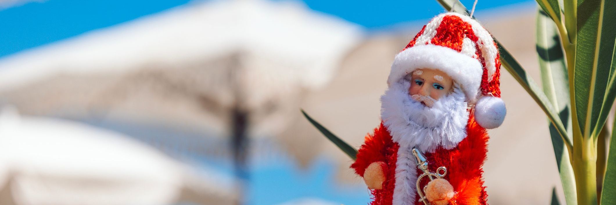 ce que vous devez savoir